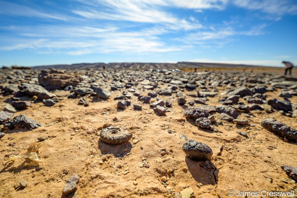 morocco-geoworld-27.jpg