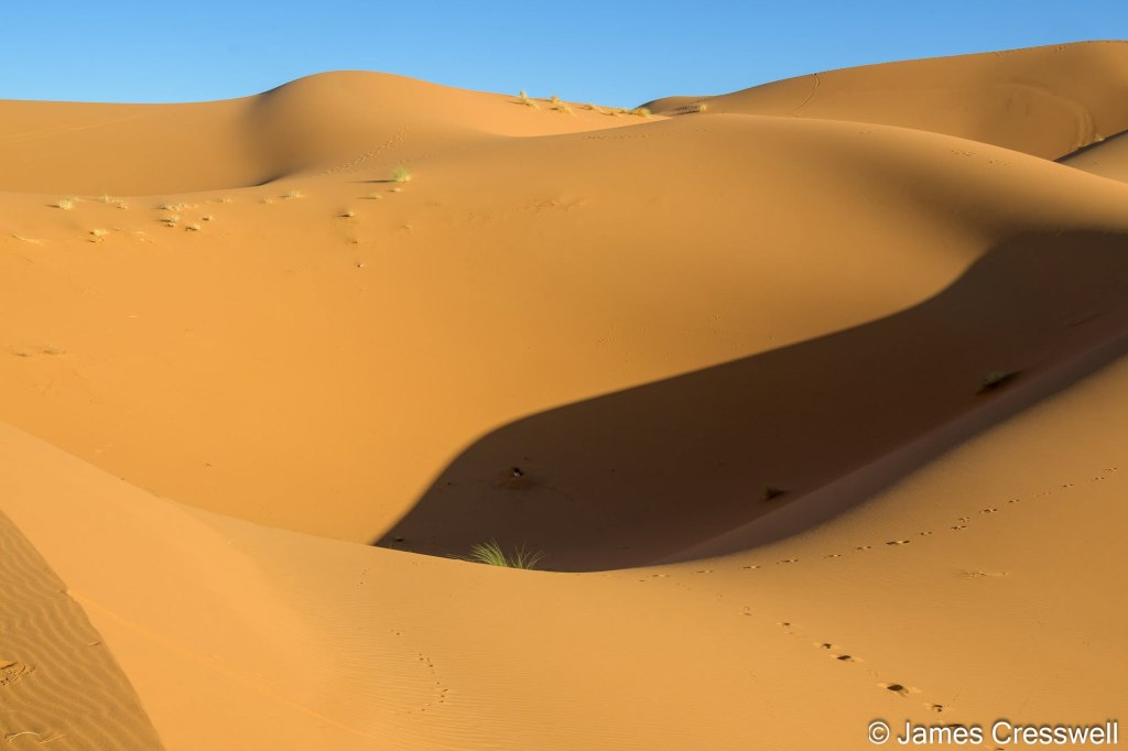 morocco-geoworld-31.jpg